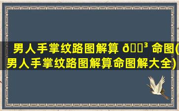 男人手掌纹路图解算 🐳 命图(男人手掌纹路图解算命图解大全)